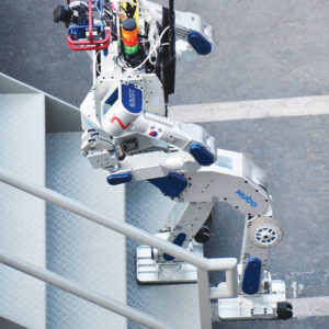 Human-like robots