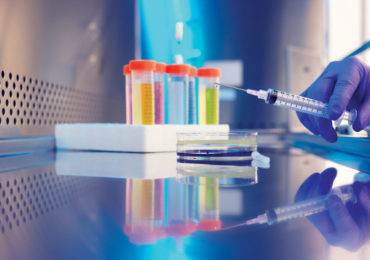 pharmaceutical manufacturing