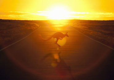 solar roads