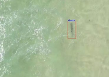 shark-spotting drones