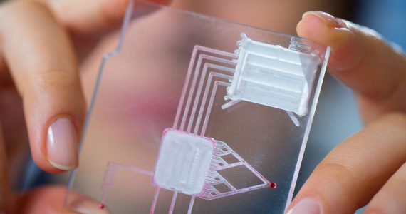 diagnosing illnesses in the field with a lab on a chip