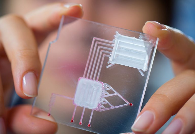 diagnosing illnesses in the field with a lab on a chip