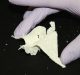 new biomaterial process a medical breakthrough