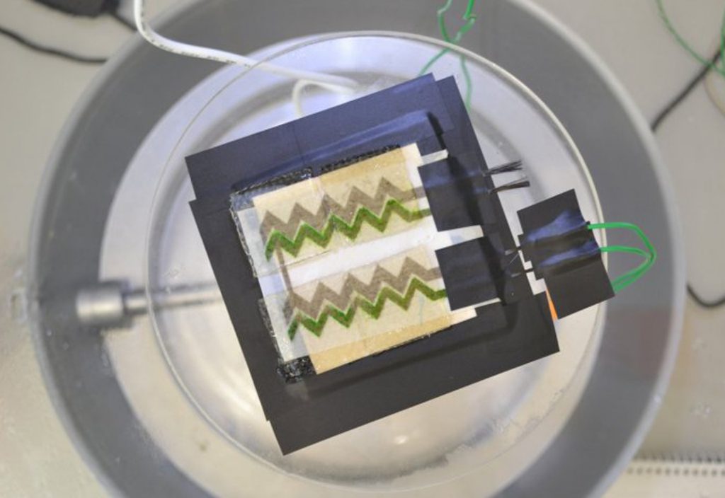 photosynthesising wallpaper for green energy