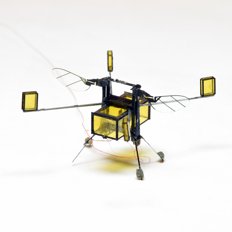 the RoboBee, one of the smallest yet most versatile drones