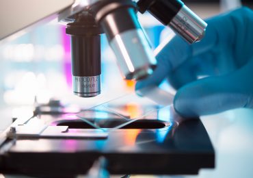a camera phone can now be used as a microscope