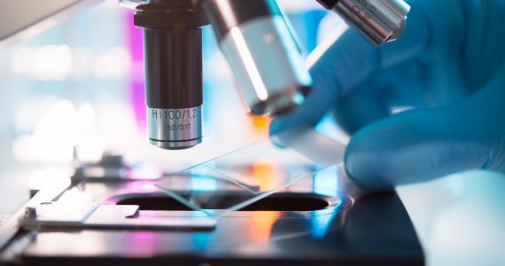 a camera phone can now be used as a microscope