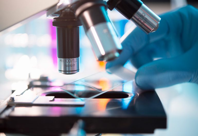 a camera phone can now be used as a microscope