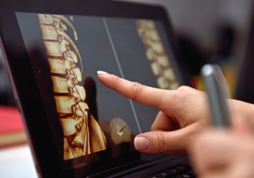 bridge inspired by the human spine